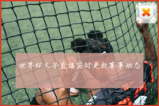 世界杯文字直播实时更新赛事动态