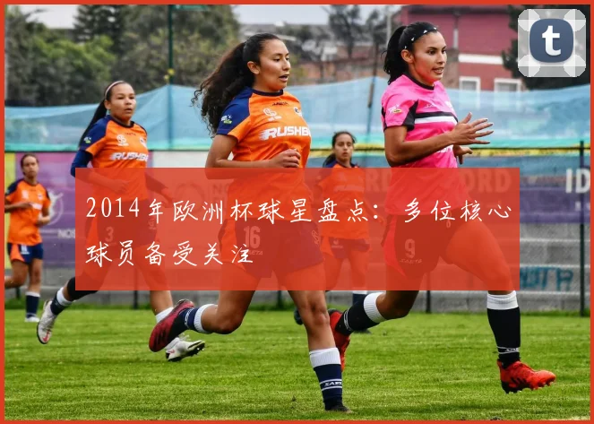 2014年欧洲杯球星盘点:多位核心球员备受关注