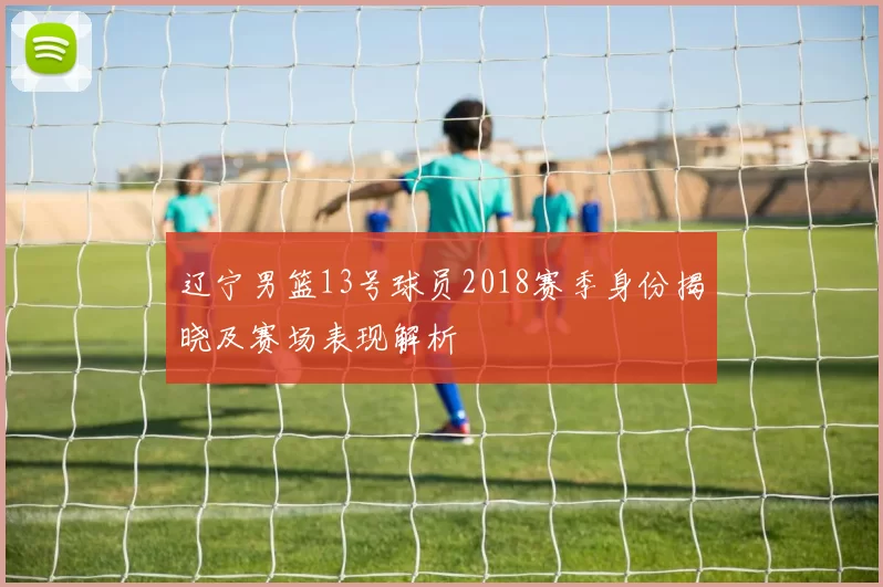 辽宁男篮13号球员2018赛季身份揭晓及赛场表现解析