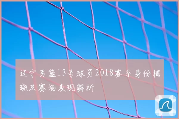 辽宁男篮13号球员2018赛季身份揭晓及赛场表现解析